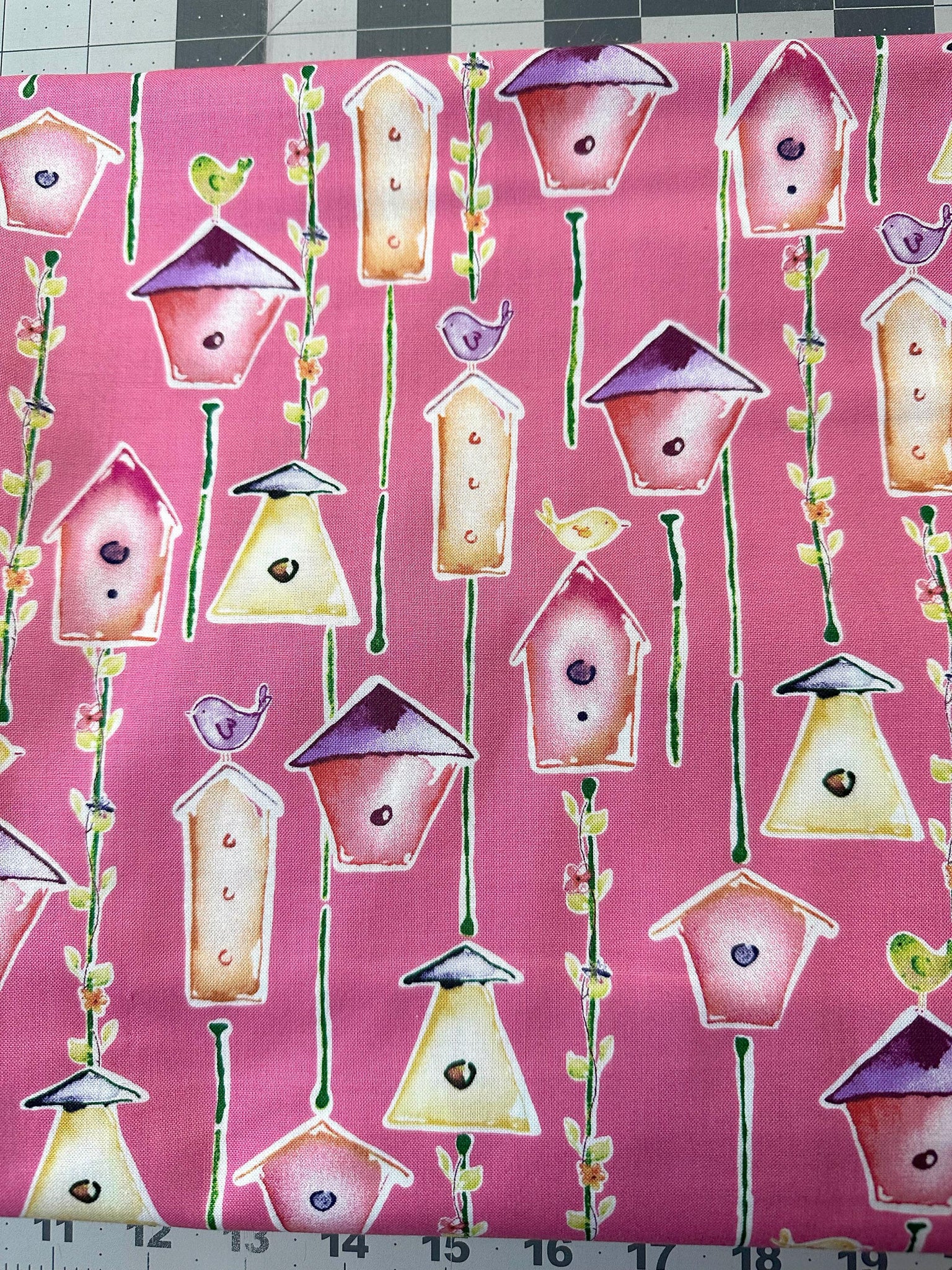 2 1/2 yd. Sweet Birdie Home Tweet Home Quilt Fabric. Rare Fabric Destash. Fabric Clearance. Quilt Fabric.